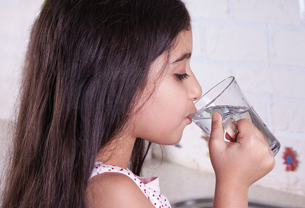 environmentaldefence.ca