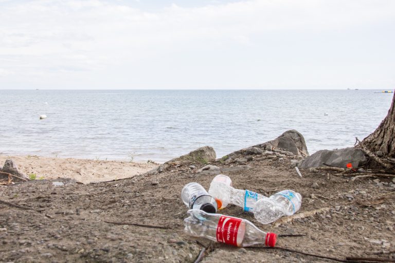 Plastic pollution on a beach