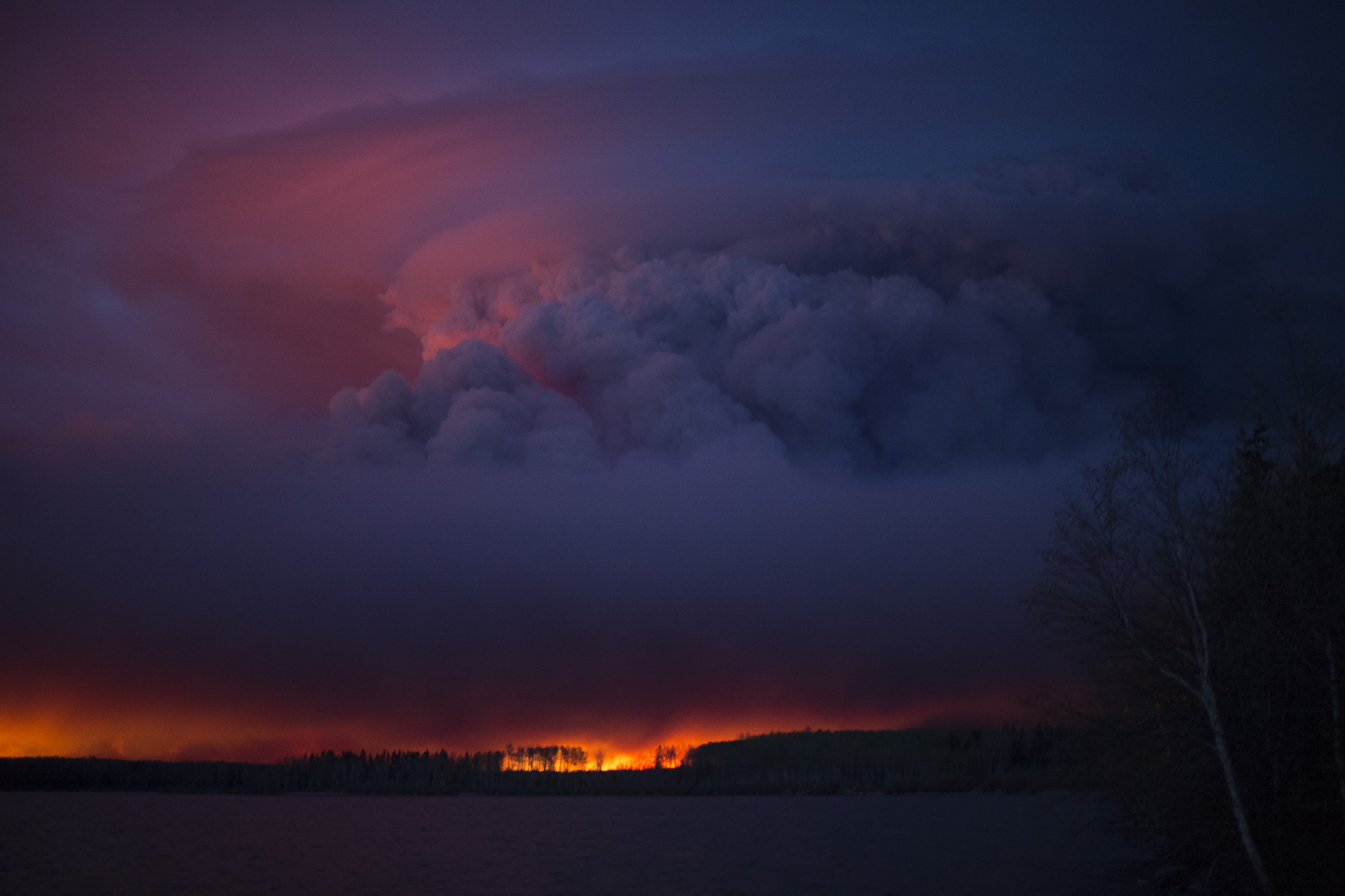 (photograph by Chris Schwarz/Government of Alberta)