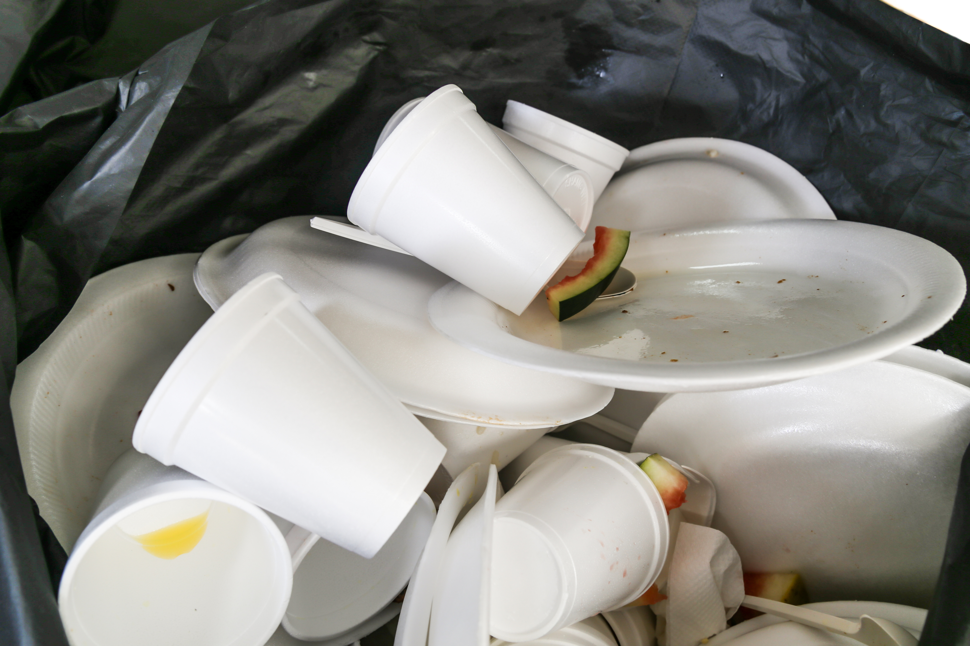 Styrofoam is polluting our environment. Let's #BanTheFoam