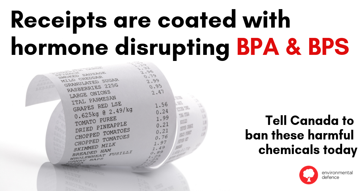 The Hidden Cost Of Receipts How BPA And BPS Find Their Way Into Our 