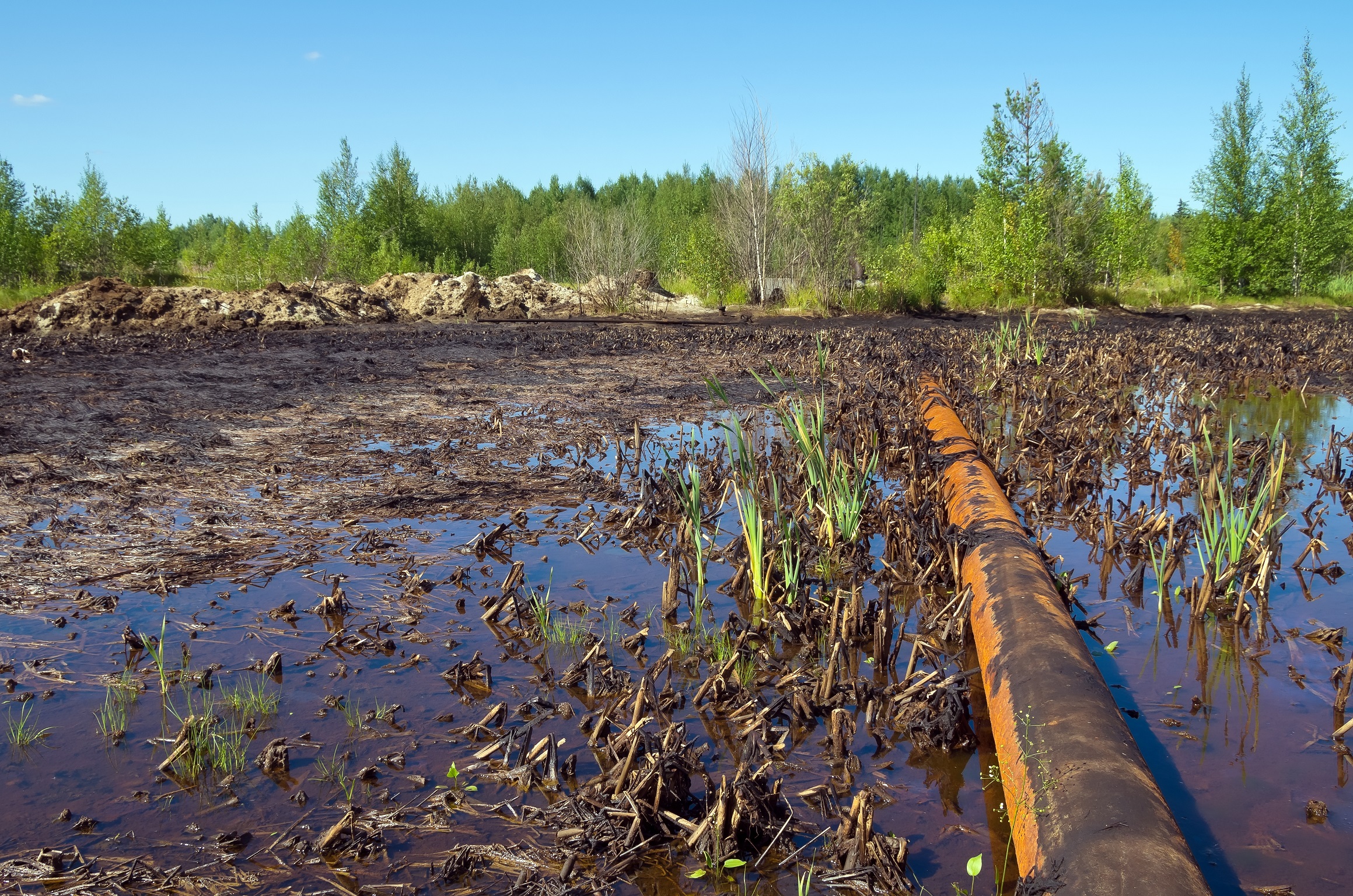 Pipe running through a wetland