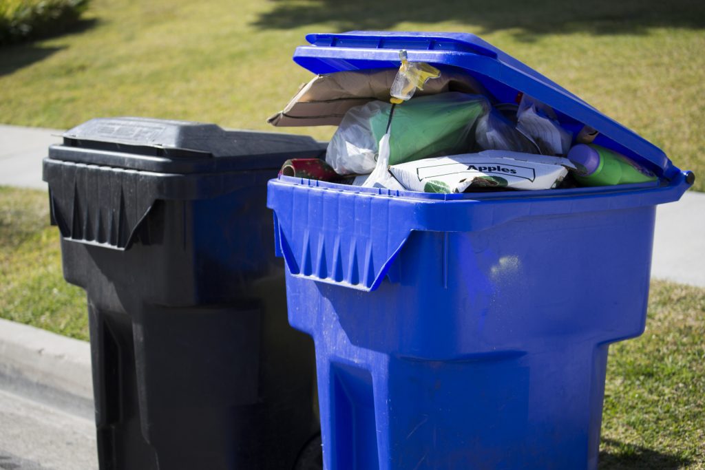 Are Blue Recycle Bags Costing You More In The Budget Than The Blue Bin? -  Canadian Budget Binder