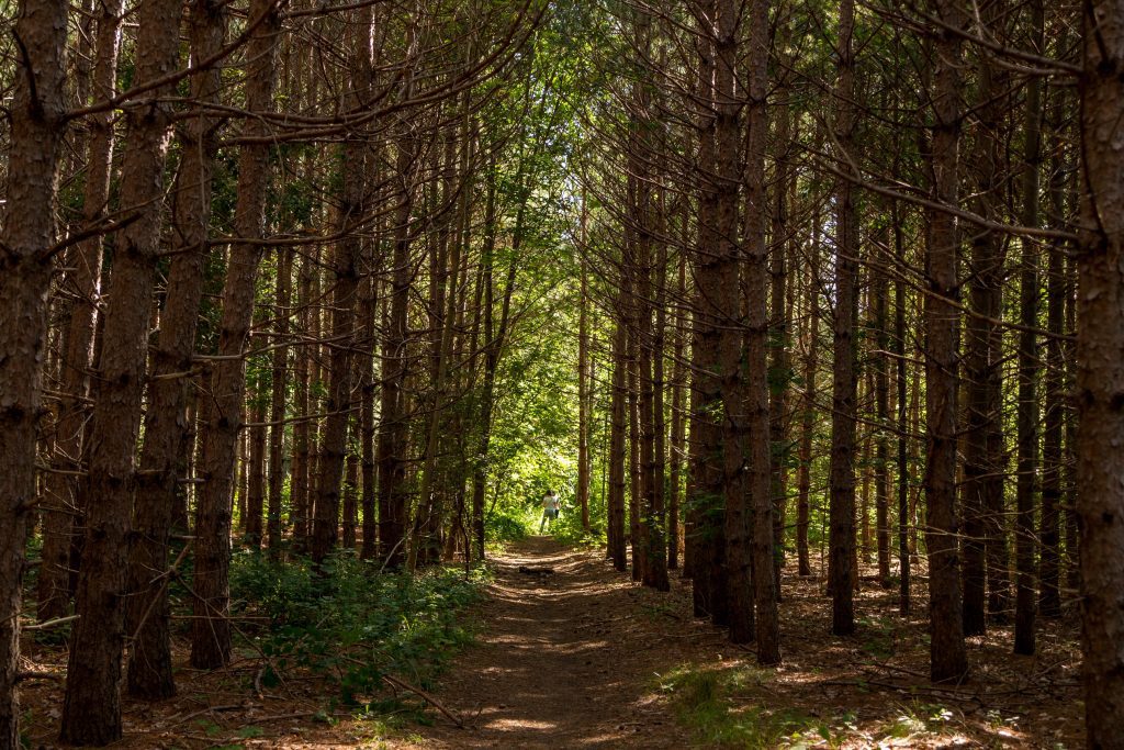 Highway 413 would pave over hiking and recreational trails along its path.