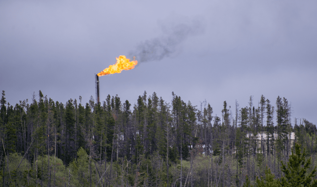 A methane flare rises above a tree canopy. The oil and gas industry is fastest growing source of carbon emissions in Canada.