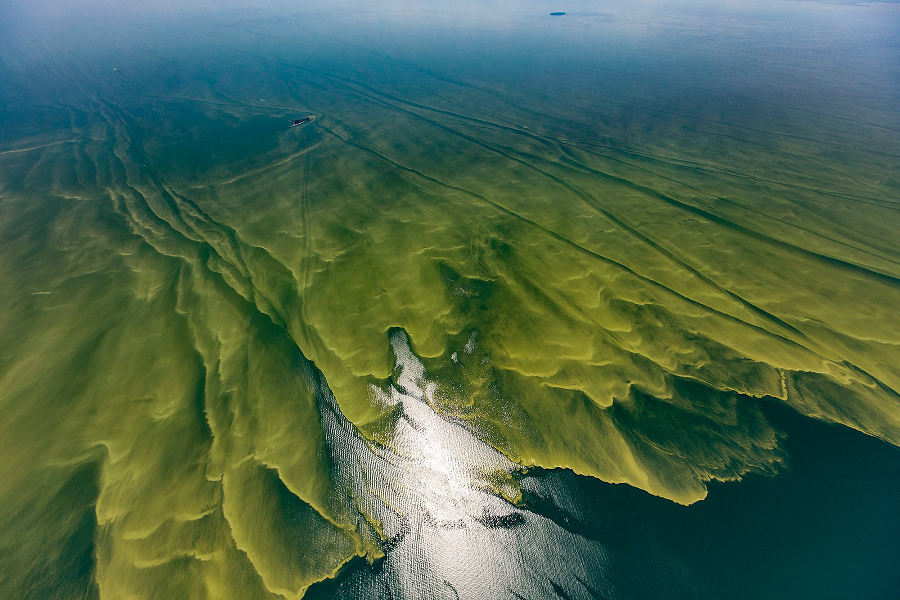 2021 Lake Erie Algae Bloom Forecasted To Be Moderate This Summer, But ...