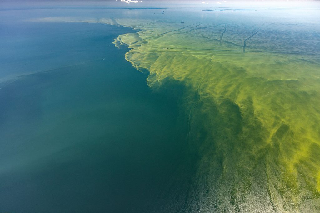True color photo images of Lake Erie harmful algal blooms on August 14, 2017 Photo Credit: Aerial Associates Photography, Inc. by Zachary Haslick