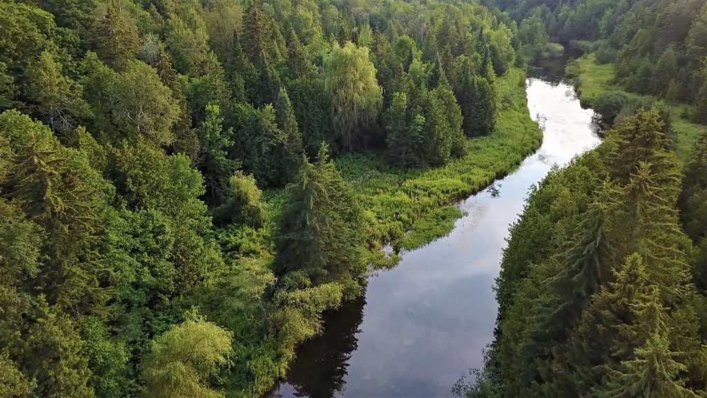 The West Credit River Needs Your Help - Environmental Defence