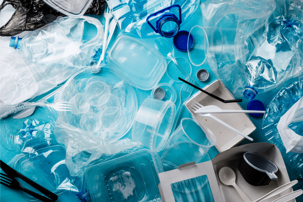 Statement from Karen Wirsig, Plastics Program Manager, on the Federal ...