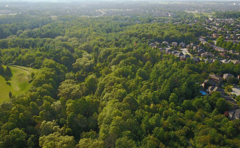 aerial shot of a suburb encroaching on a forested area