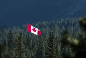 Canadian flag flies over forest